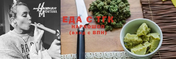индика Дмитров