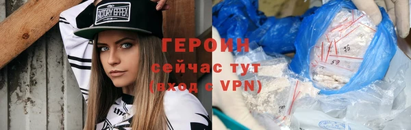 индика Дмитров