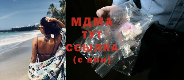индика Дмитров