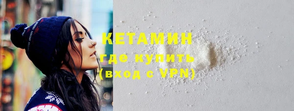 индика Дмитров