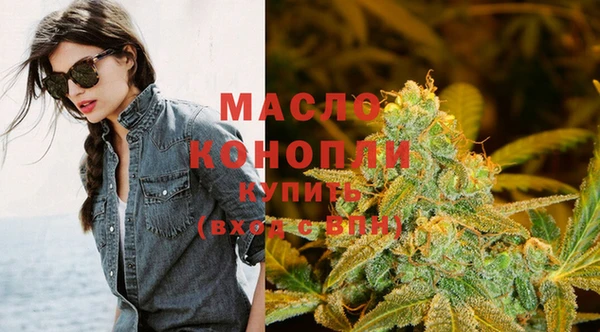 индика Дмитров