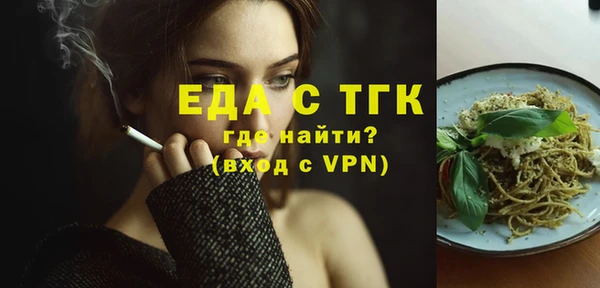 индика Дмитров