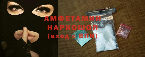 индика Дмитров