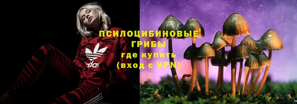 эйфоретик Дмитровск