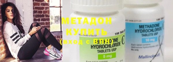 индика Дмитров