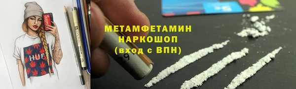 индика Дмитров