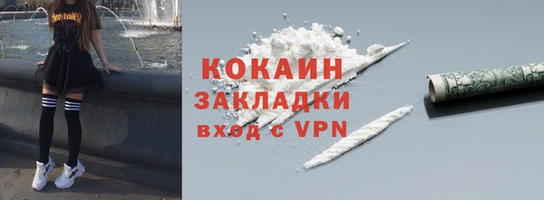 твердый Дмитриев