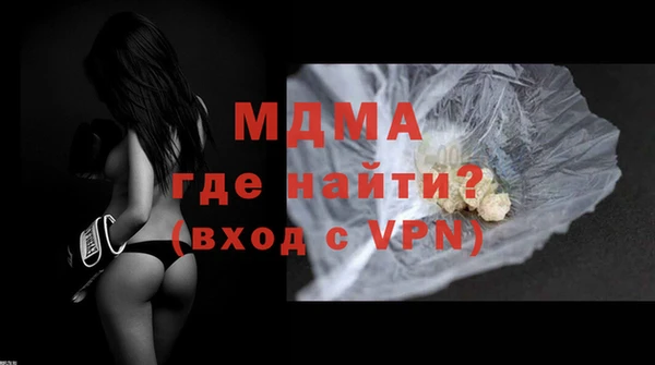 индика Дмитров