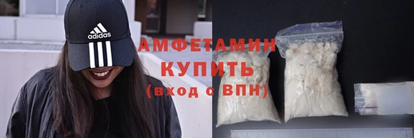 индика Дмитров