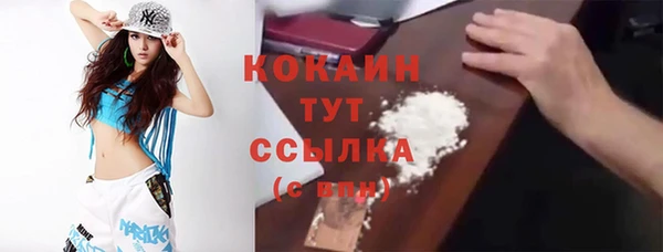 твердый Дмитриев