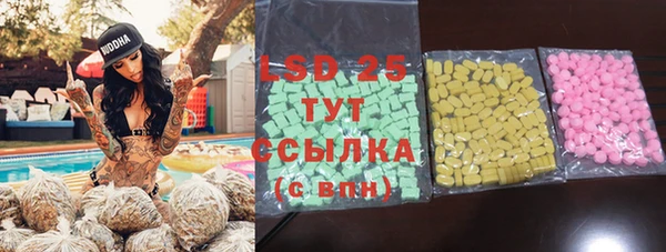 индика Дмитров