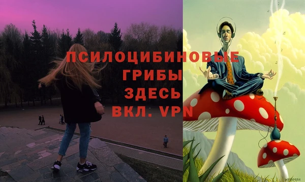 эйфоретик Дмитровск