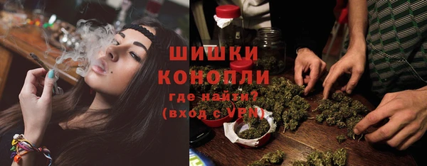 индика Дмитров