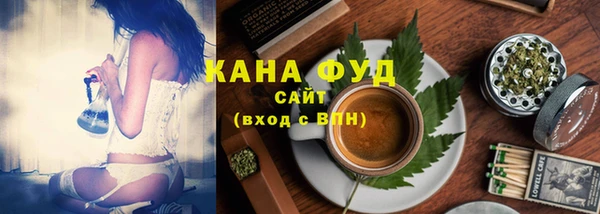 индика Дмитров