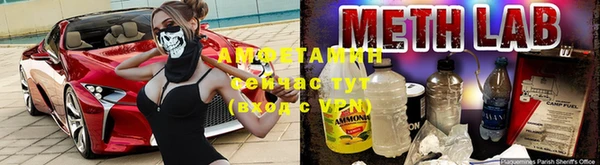 твердый Дмитриев