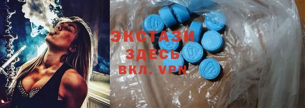 твердый Дмитриев
