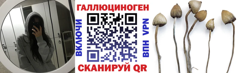 продажа наркотиков  Гуково  Псилоцибиновые грибы Magic Shrooms 