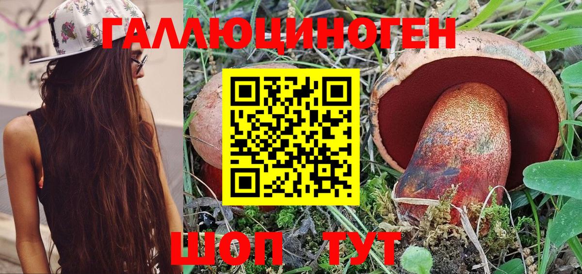 Псилоцибиновые грибы Magic Shrooms  Галлюциногенные грибы Psilocybe  Гуково 