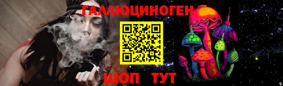 Псилоцибиновые грибы GOLDEN TEACHER Гуково